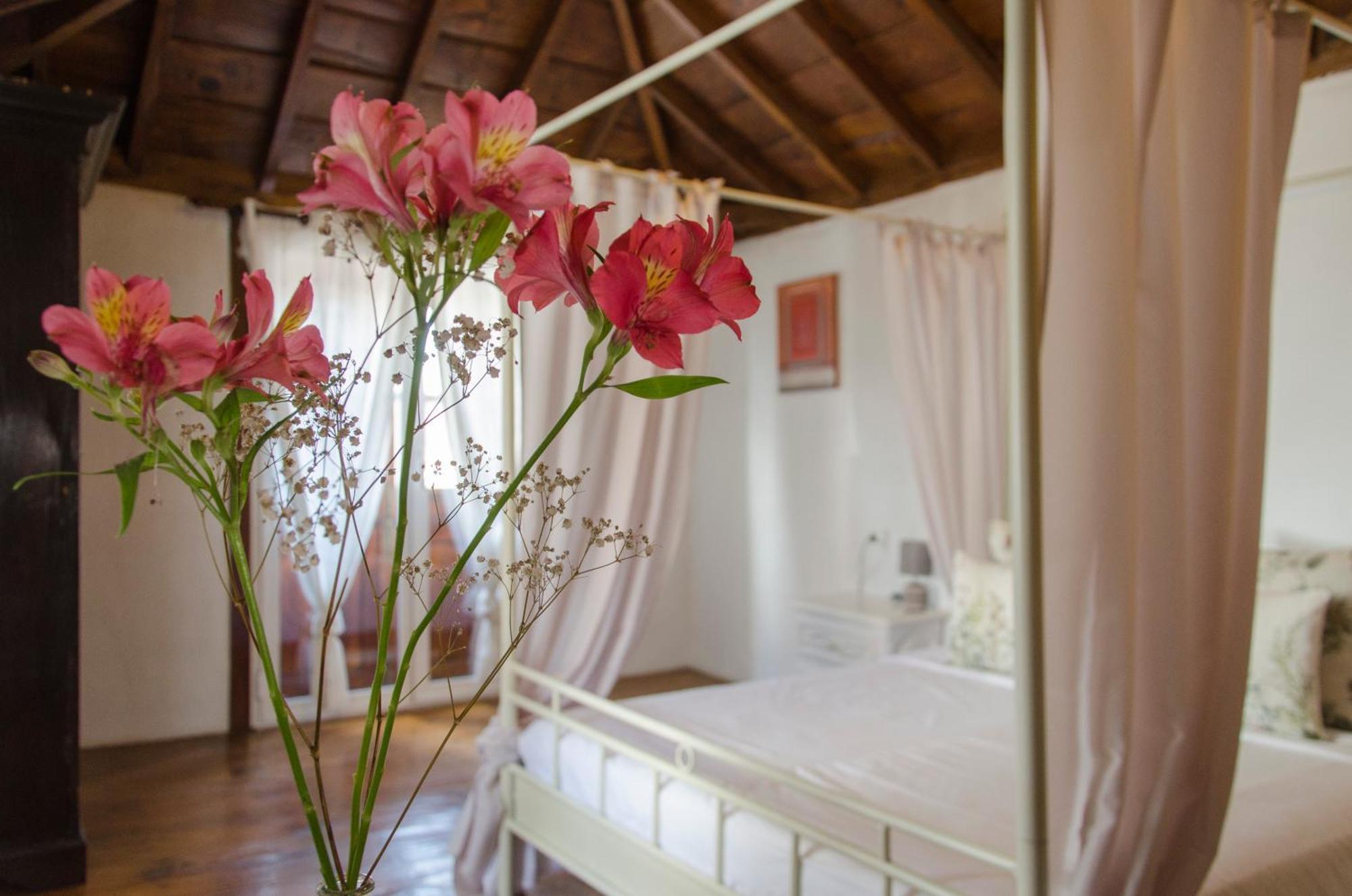 Hotel Rural Casona Santo Domingo Güimar Exteriér fotografie